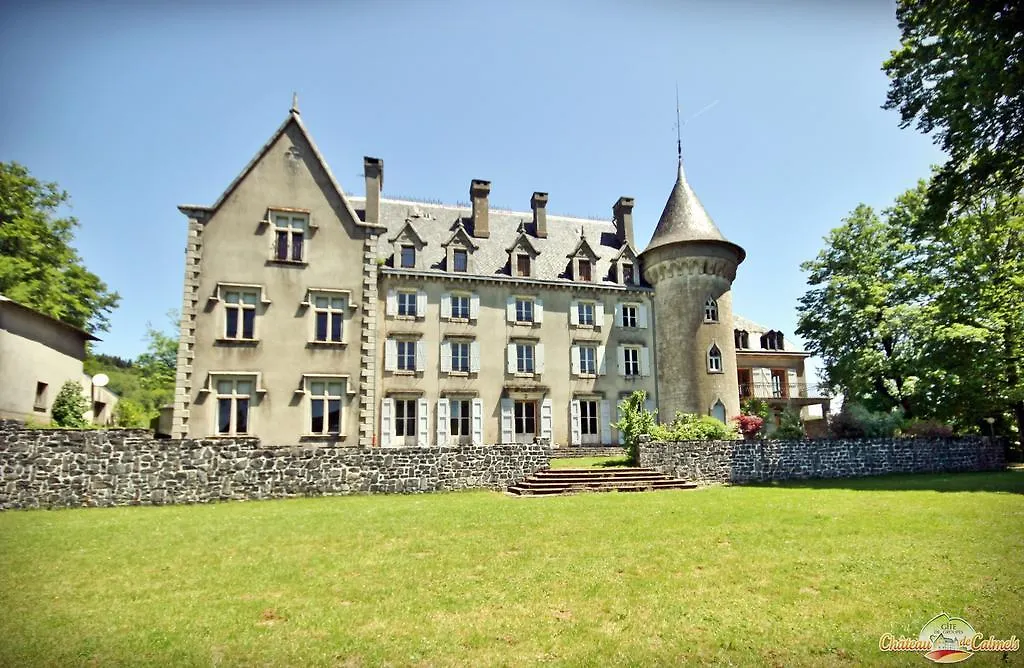 Bed & Breakfast Chateau De Calmels Hotel Lacaune